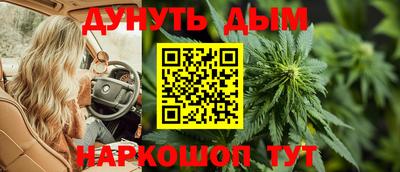 шишки Тулун