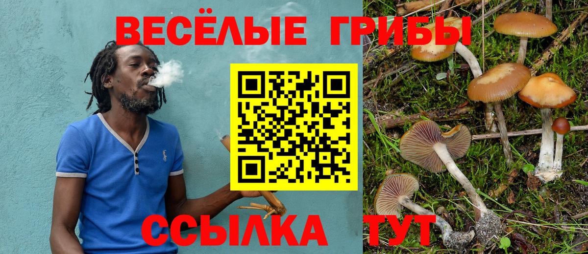 Псилоцибиновые грибы прущие грибы Магнитогорск