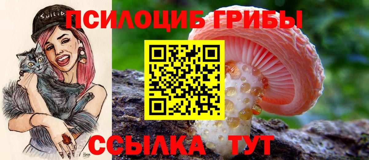 Галлюциногенные грибы прущие грибы  Псилоцибиновые грибы Psilocybe  Магнитогорск  Вход с VPN 